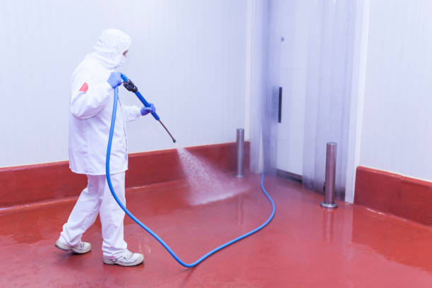Trusted Bay City, TX Pressure Washing Services Experts